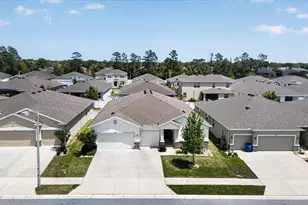 13504 Golden Lime Ave, Spring Hill, FL 34609 - Photo 61