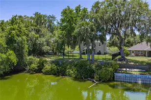 3167 Blackwater Oaks Way, Mulberry, FL 33860 - Photo 75