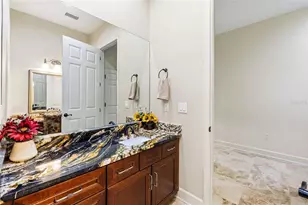 9901 Menander Wood Ct, Odessa, FL 33556 - Photo 37