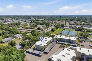 952 Virginia St, Dunedin, FL 34698 - Photo 45