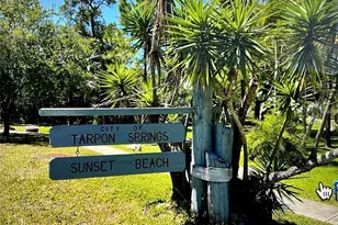 404 Windrush Bay Dr, Tarpon Springs, FL 34689 - Photo 47