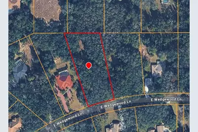 1449 E Wedgewood Lane, Hernando, FL 34442 - Photo 3