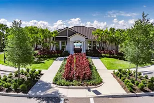 3255 Silver Date Dr, Wimauma, FL 33598 - Photo 61