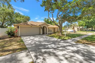 5810 Bitter Orange Ave, Tampa, FL 33625 - Photo 43