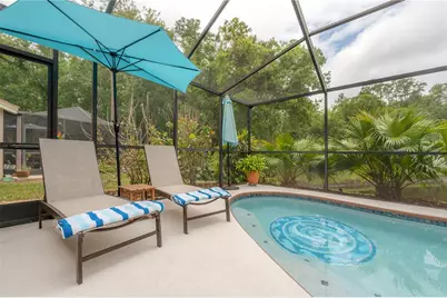 3654 Darston Street, Palm Harbor, FL 34685 - Photo 57