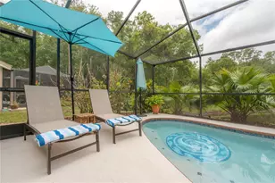 3654 Darston St, Palm Harbor, FL 34685 - Photo 57