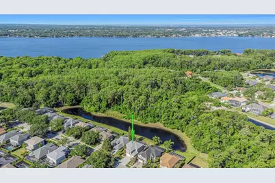 4152 Grandchamp Circle, Palm Harbor, FL 34685 - Photo 51