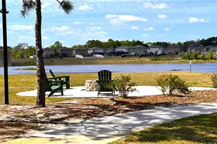 13814 Bee Tree Ct, Hudson, FL 34669 - Photo 59