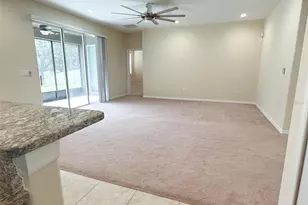 13814 Bee Tree Ct, Hudson, FL 34669 - Photo 31