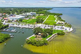 4111 N Bay Hills Blvd, Safety Harbor, FL 34695 - Photo 67