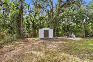 403 Wendel Ave, Lithia, FL 33547 - Photo 7