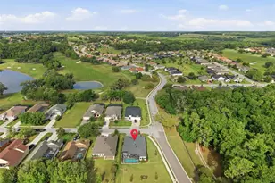 13444 Trailing Moss Dr, Dade City, FL 33525 - Photo 27