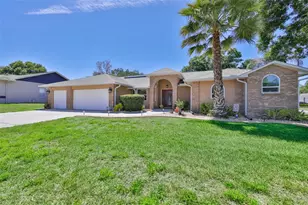 3931 Appletree Dr, Valrico, FL 33594 - Photo 5