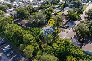 1109 E Rohe St, Tarpon Springs, FL 34689 - Photo 59