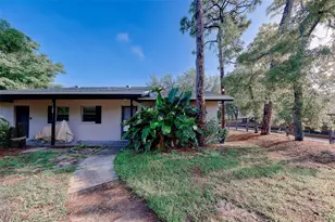 1109 E Rohe St, Tarpon Springs, FL 34689 - Photo 39