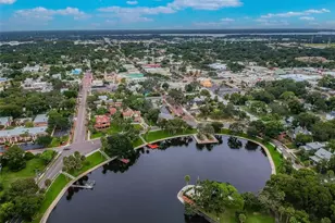 360 Liam Ave, Tarpon Springs, FL 34689 - Photo 57