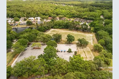 3749 Pendlebury Drive, Palm Harbor, FL 34685 - Photo 39