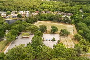 3749 Pendlebury Dr, Palm Harbor, FL 34685 - Photo 39