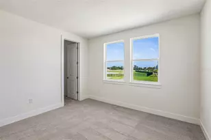 31850 Clover Fin Ct, Wesley Chapel, FL 33545 - Photo 23