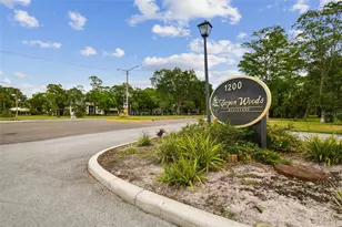 3505 Tarpon Woods Blvd, Palm Harbor, FL 34685 - Photo 57