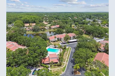 3505 Tarpon Woods Boulevard #P404, Palm Harbor, FL 34685 - Photo 55