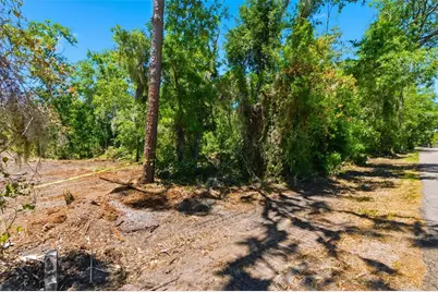 19084 Red Bird Lane #LOT 5, Lithia, FL 33547 - Photo 7