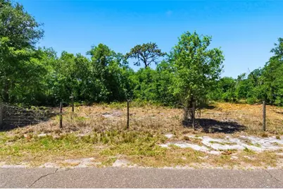 19084 Red Bird Lane #LOT 2, Lithia, FL 33547 - Photo 5