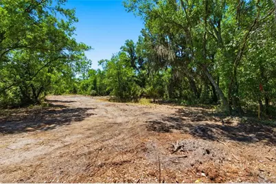19084 Red Bird Lane #LOT 4, Lithia, FL 33547 - Photo 5
