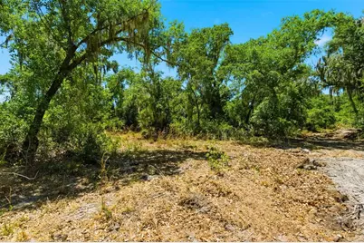 19084 Red Bird Lane #LOT 4, Lithia, FL 33547 - Photo 9