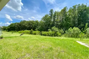 18236 Hunters Meadow Walk, Land O Lakes, FL 34638 - Photo 27