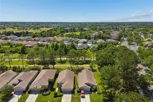 3231 Banyan Hill Ln, Land O Lakes, FL 34639 - Photo 45