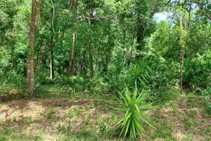 Davista, New Port Richey, FL 34654 - Photo 1