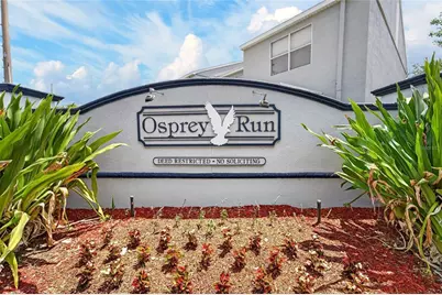 6557 Osprey Lake Circle, Riverview, FL 33578 - Photo 3
