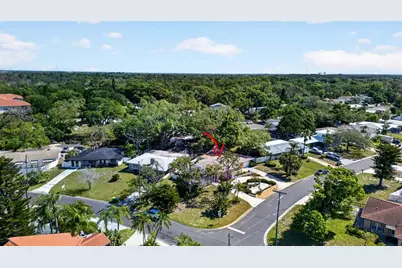 209 Westwinds Drive, Palm Harbor, FL 34683 - Photo 49