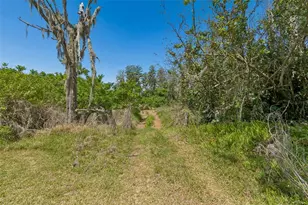 212 Crystal Lake Rd, Lutz, FL 33548 - Photo 15