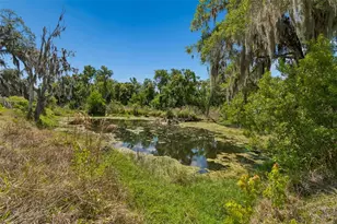 212 Crystal Lake Rd, Lutz, FL 33548 - Photo 17