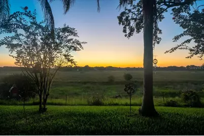 1472 Ivydale Road, Spring Hill, FL 34606 - Photo 47