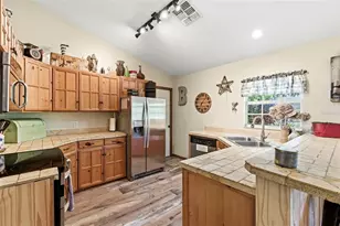 1115 410th Ct E, Myakka City, FL 34251 - Photo 19