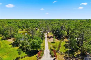 1115 410th Ct E, Myakka City, FL 34251 - Photo 47