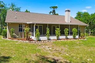1115 410th Ct E, Myakka City, FL 34251 - Photo 37