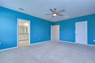 16607 Goose Ribbon Pl, Wimauma, FL 33598 - Photo 21