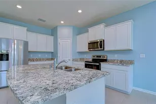 16607 Goose Ribbon Pl, Wimauma, FL 33598 - Photo 11