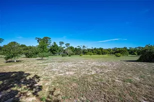 760 Village Way, Palm Harbor, FL 34683 - Photo 49