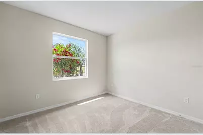 32003 Conchshell Sail Street, Wesley Chapel, FL 33545 - Photo 27