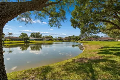 18529 Pebble Lake Court, Tampa, FL 33647 - Photo 47
