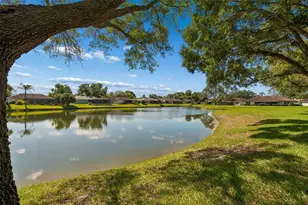 18529 Pebble Lake Ct, Tampa, FL 33647 - Photo 47