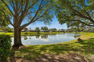 18529 Pebble Lake Ct, Tampa, FL 33647 - Photo 45