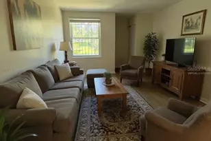 4201 La Dega Ct, Tampa, FL 33611 - Photo 3