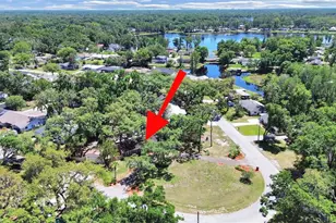18835 Tracer Dr, Lutz, FL 33549 - Photo 7