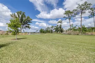 6131 Timberdale Ave, Wesley Chapel, FL 33545 - Photo 39